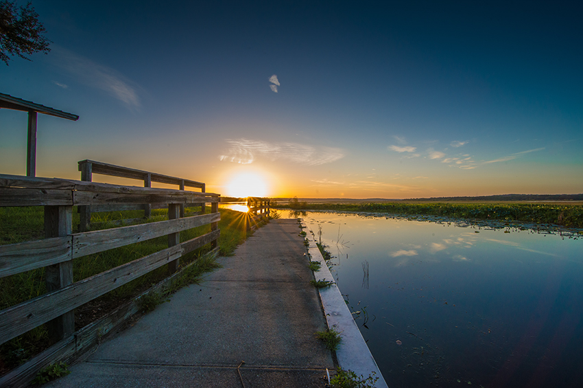 Watershed photo in Leon County 