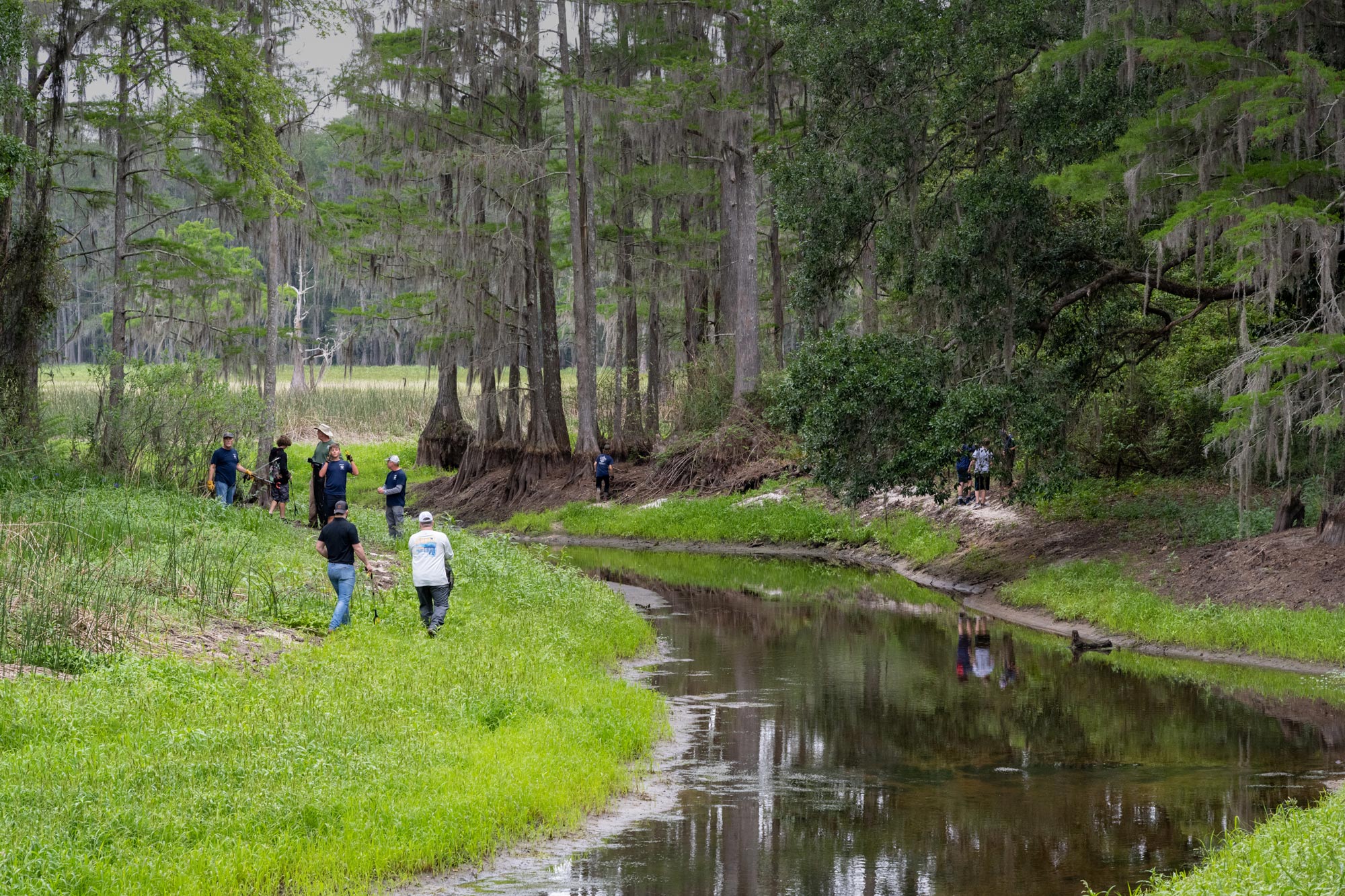 Photo of Lake Munson with volunteers picking up litter on the shoreline