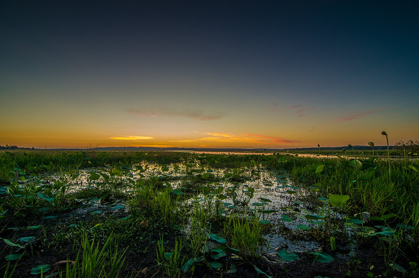 Image of a water body 