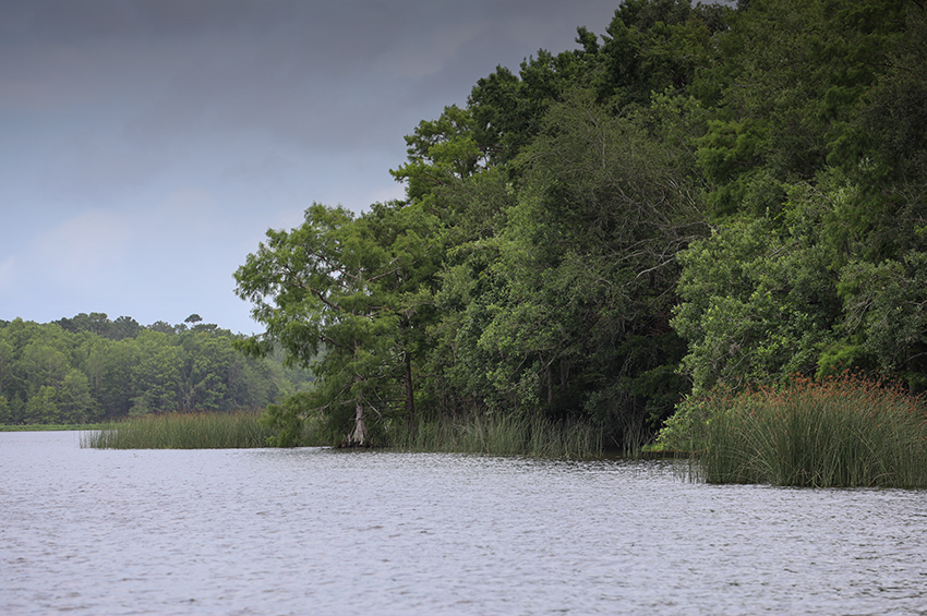 Image of a water body 