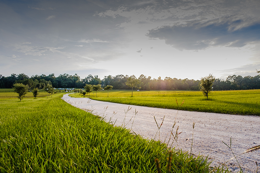 Trail at JR Alford Greenway 